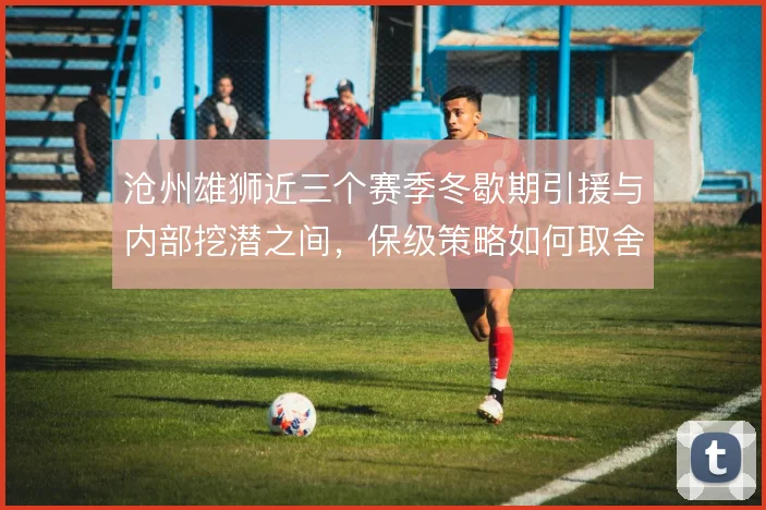 沧州雄狮近三个赛季冬歇期引援与内部挖潜之间，保级策略如何取舍
